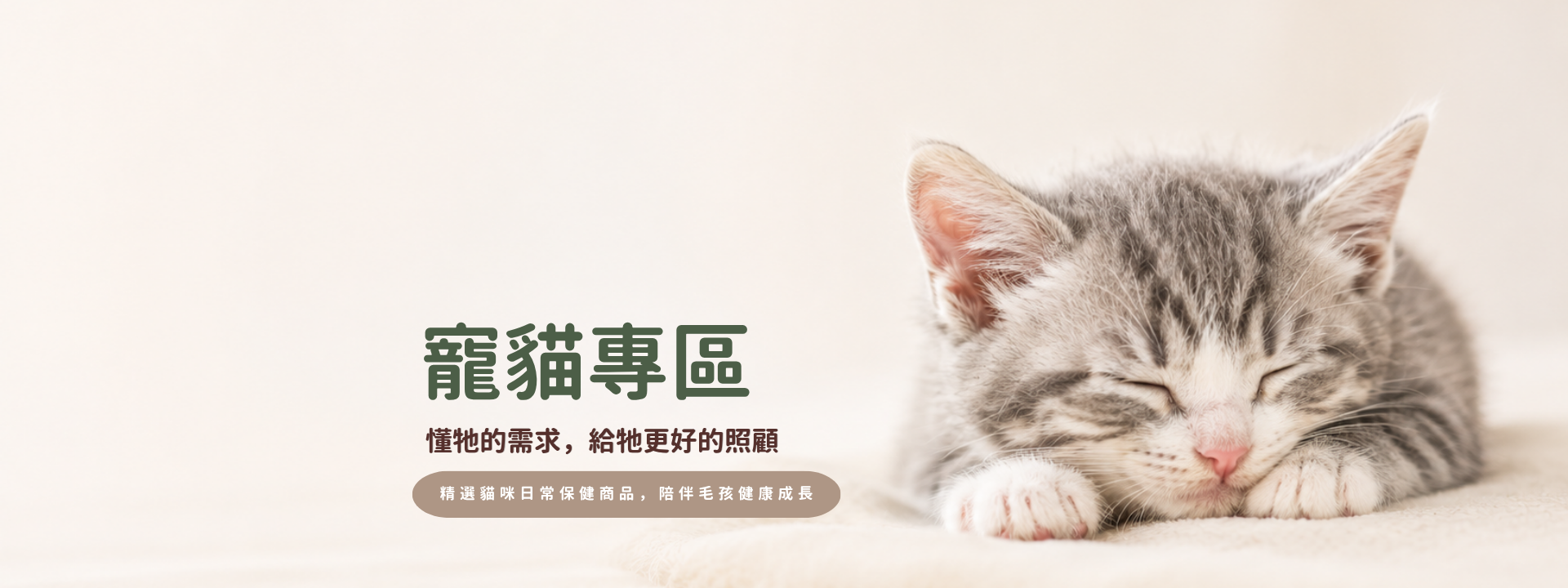 寵貓專區